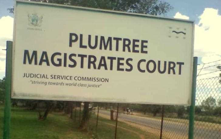 Plumtree man in court over US$410 fence scam