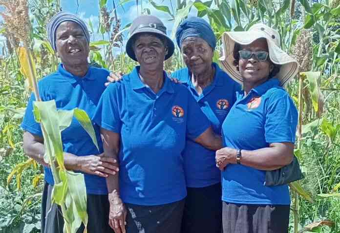 Women farmers lead climate adaptation in Tokwana