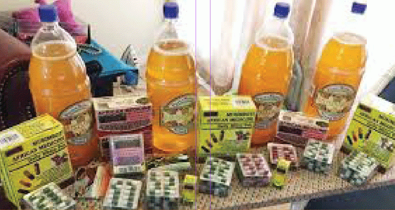 Gondolosi: The root of vitality powering traditional healing