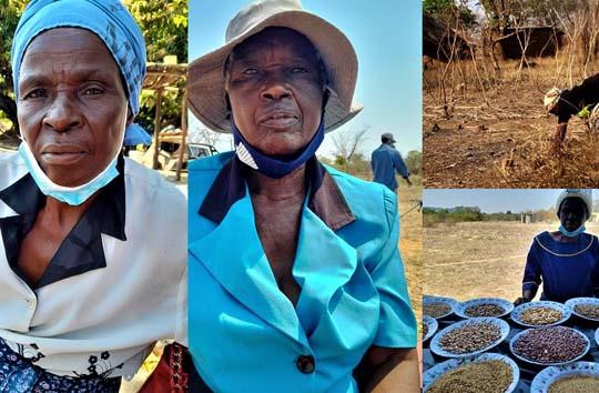 Matobo women spearhead initiative to preserve indigenous African cuisines
