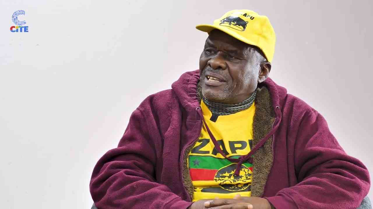 Ex-Zipra commander blasts Mnangagwa term extension bid