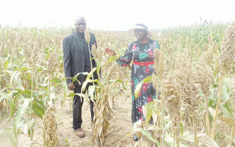 Ex-cop leads farming transformation in Bubi