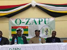 O-Zapu criticises forced Zimsec exams
