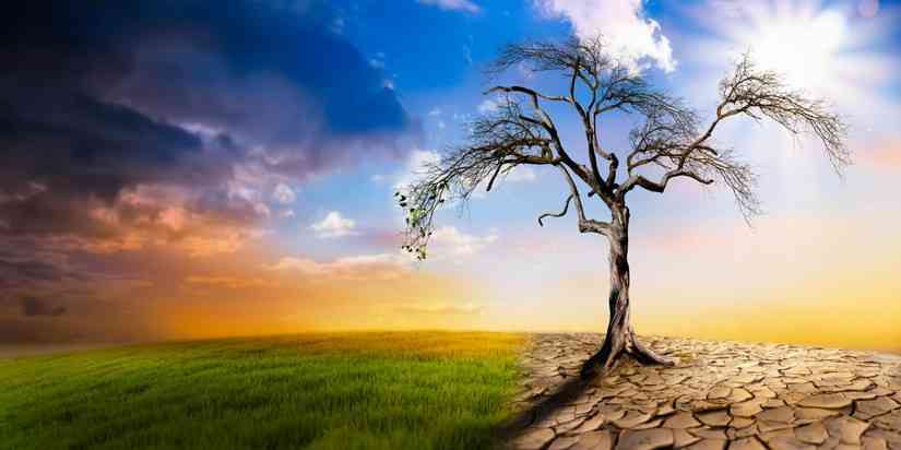 Climate change fuels rising  gender-based violence