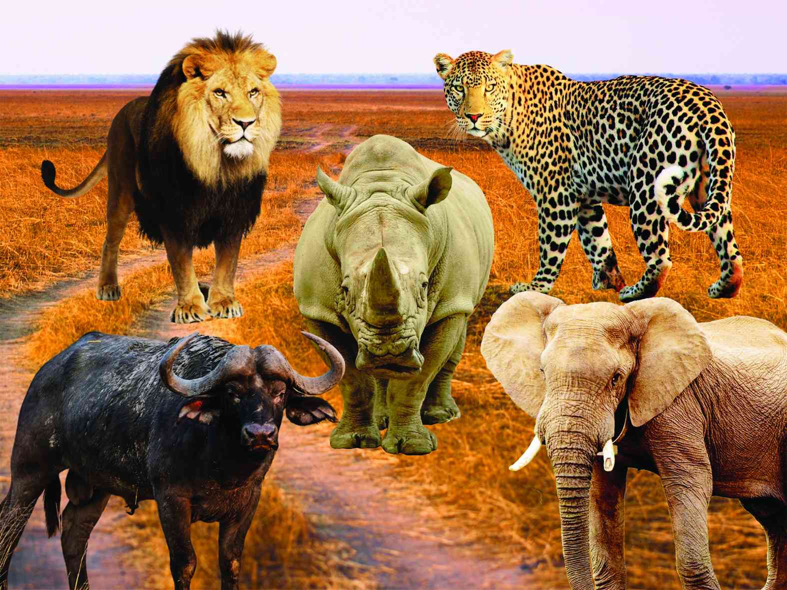 Wild animals wreak havoc in Tsholotsho