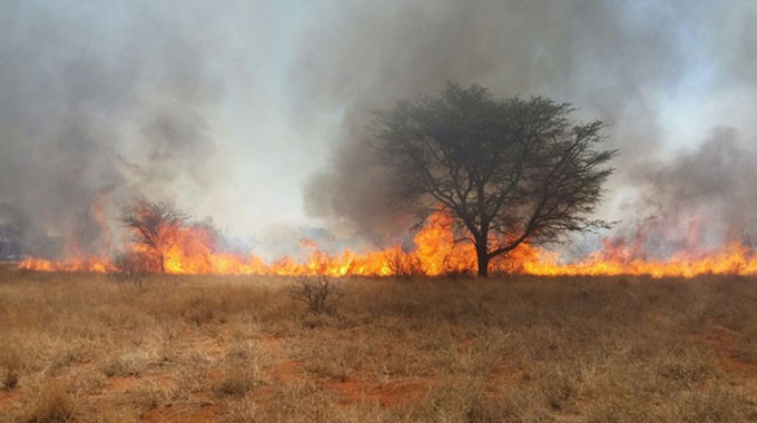 Veld fires scorch 73 500 hectares in Midlands