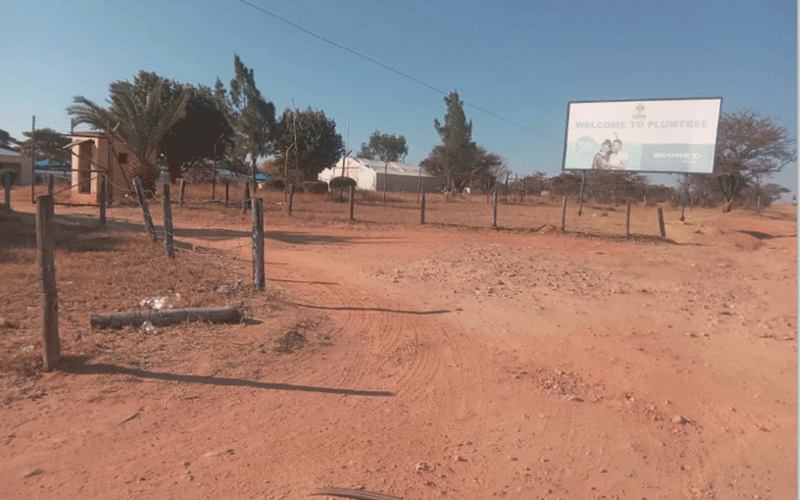 Plumtree opens doors to fleeing Zimbos