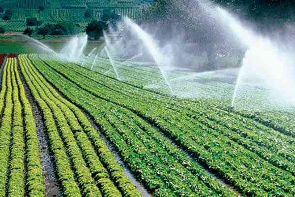 368 irrigation schemes commercialised