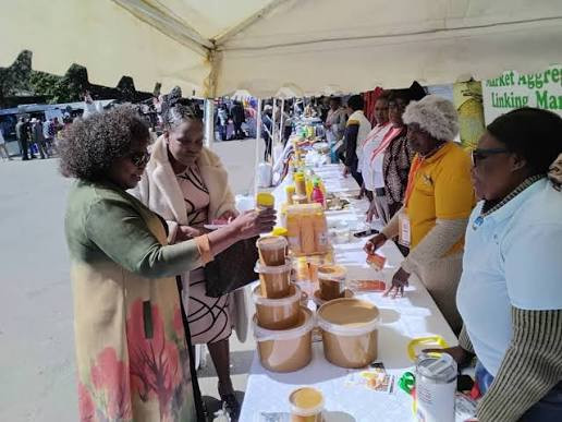 SME expo sparks growth, new business links in Bulawayo