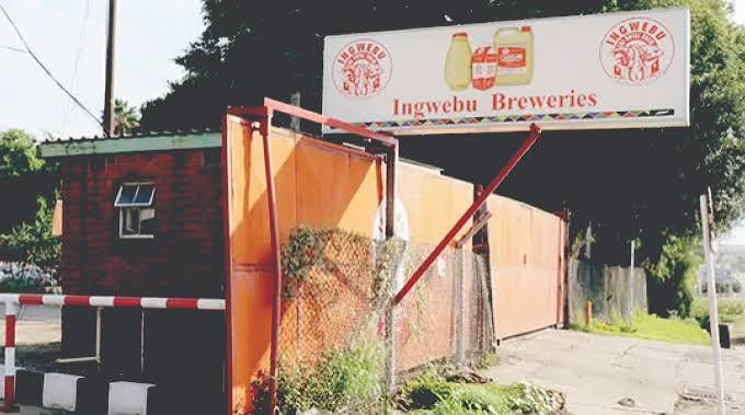 Iconic Ingwebu  fights for survival