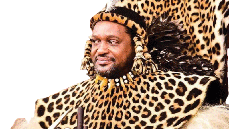 Zulu king visit sparks new Ndebele throne questions