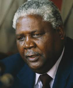 27 years after Joshua Nkomo: Has xenophobia killed Pan-Africanism?