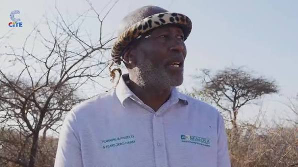 Push for Mzilikazi Day national holiday