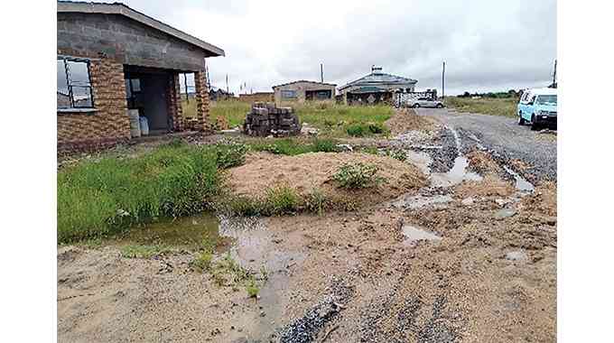 Bulawayo’s wetlands under growing threat