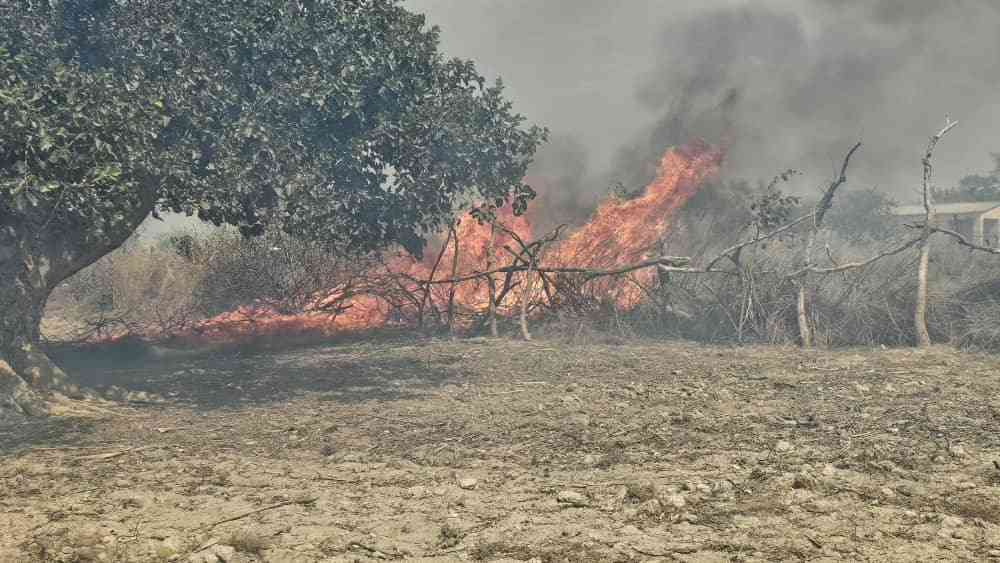 MP calls for heavy penalties over Shurugwi veld fires