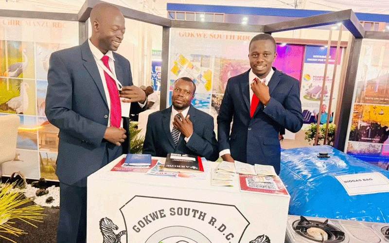Gokwe South woos investors at Sanganai/Hlanganani Expo