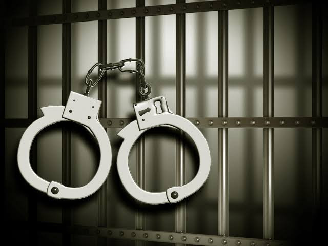 2 Guyu men kill stray Botswana cow, jailed  9 years each