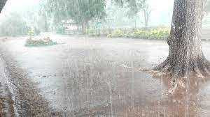 El Nino threatens budgetary shock for Zimbabwe government, experts warn
