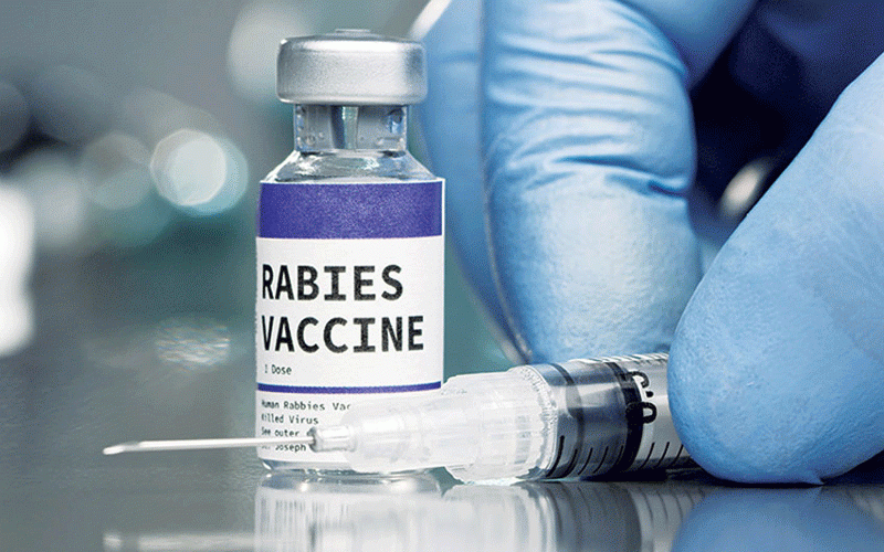 New stop rabies project to help protect dogs and communities