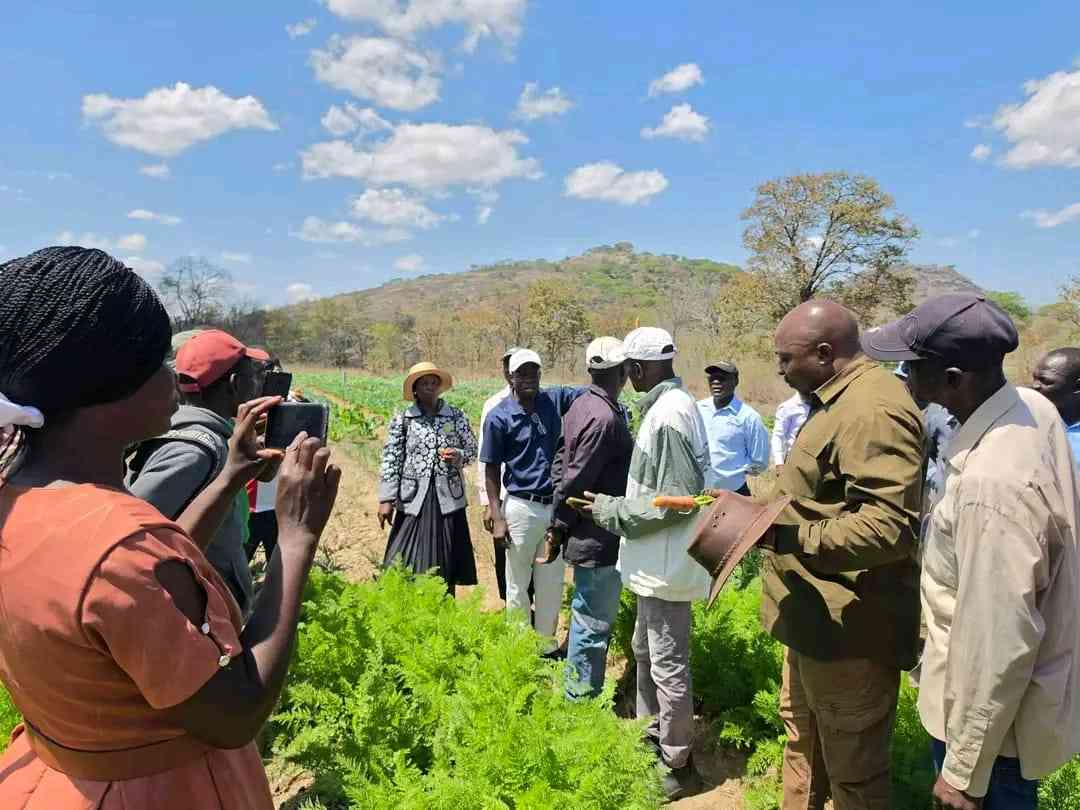 Chivi Central strengthens community agriculture drive