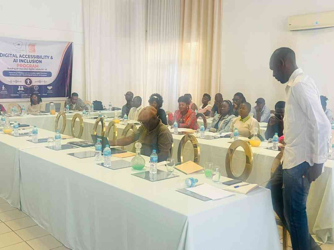 Most Zimbabwean websites inaccessible to the visually impaired'