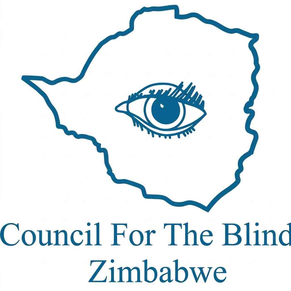 Most Zimbabwean websites inaccessible to the visually impaired'
