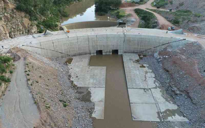 Funding challenges hit Zim dam projects - The Standard