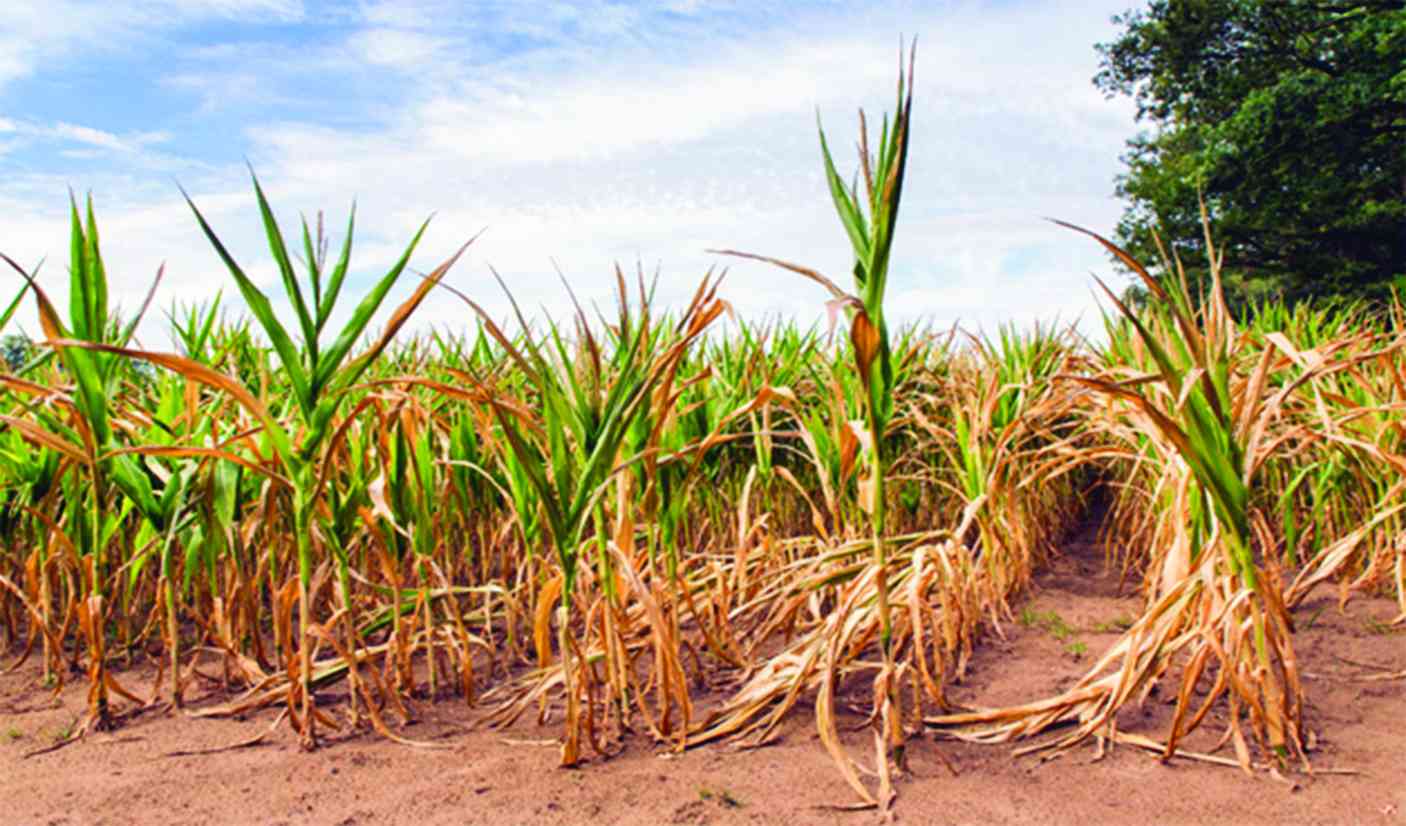How climate change is disrupting food, nutritional security in Zim