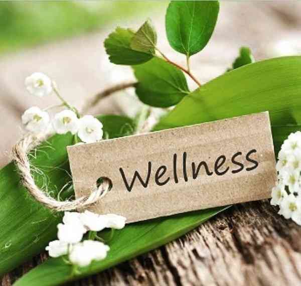 Wellness: The 21st century’s  most critical competence: