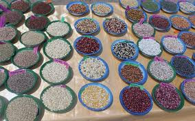 Govt faces backlash over new seed treatment rule