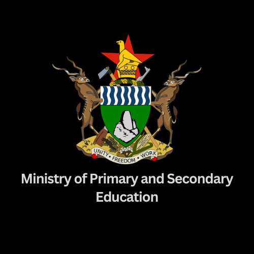 Inside Bulilima's zero percent exam pass rate: Who is at fault?