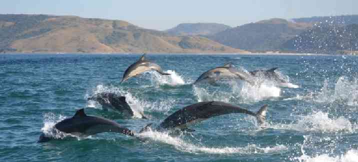 Must-see sights in South Africa beyond Kruger National Park