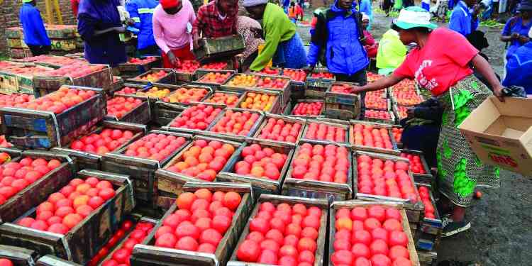 Zim’s 2026 Budget: Opportunities, challenges for  micro-businesses