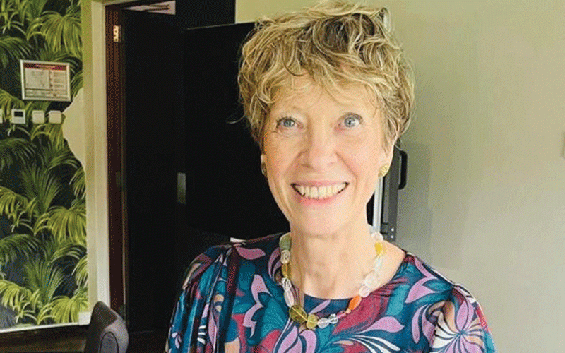 PVO Act clouds Dutch-Zim future co-operation: Envoy