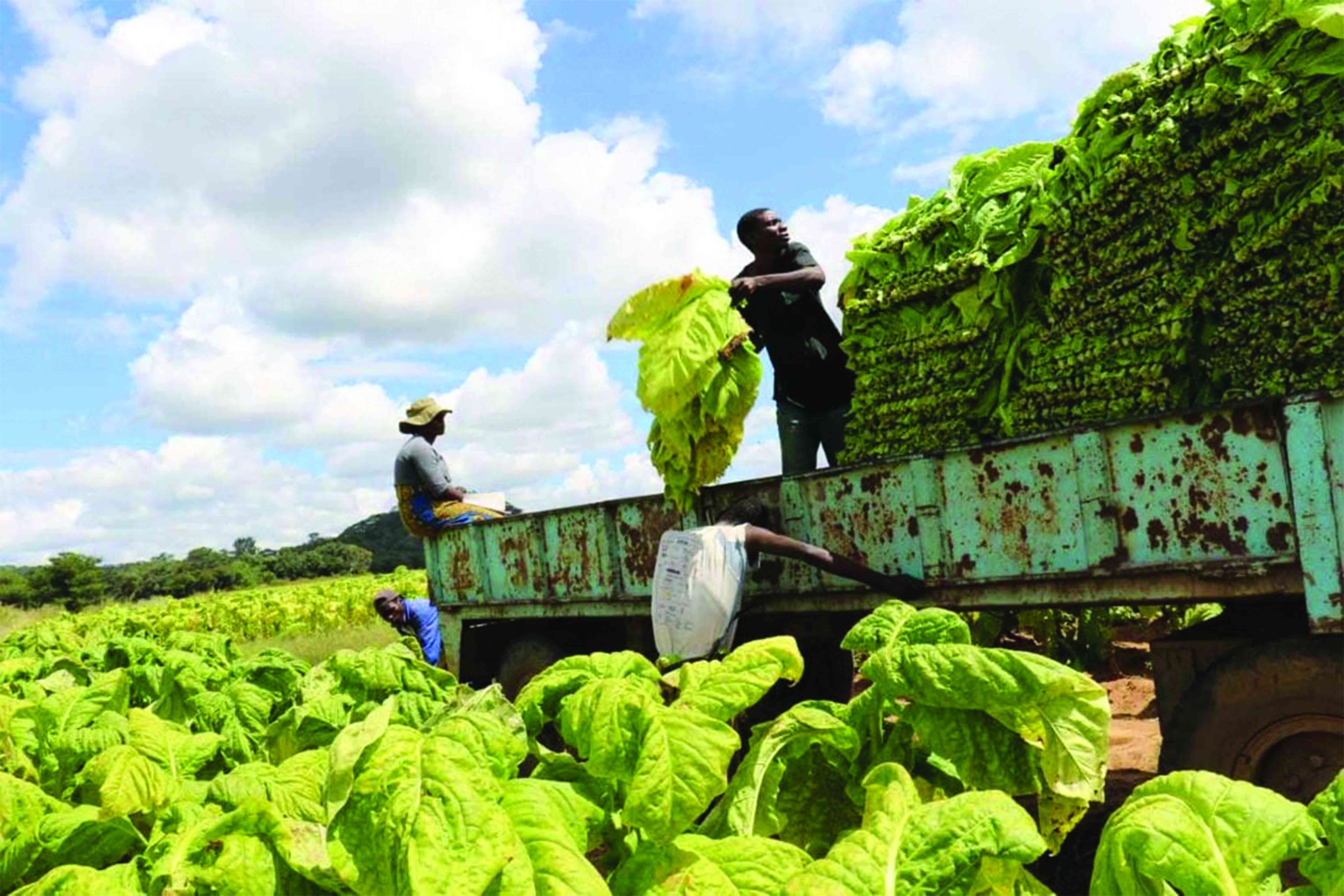 Past, present dynamics in agric II