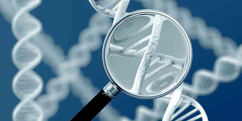 The case of mandatory DNA testing at birth in Zimbabwe