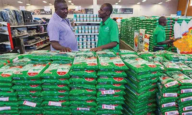 Weather recovery masks a seasonally weak first half