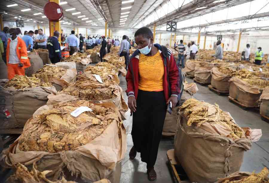 Zim-China trade breaches US$4bn mark in year 2025