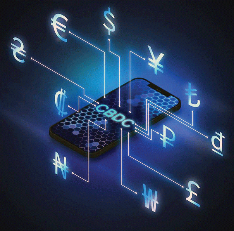 Are we ready for a widely accessible central bank digital currency in Zim?