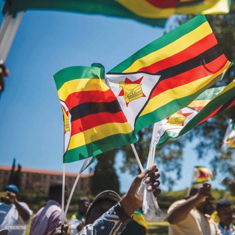 Brand Zim: Reputation and policy posture matter more