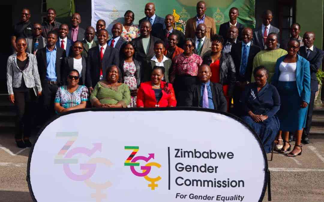 Merging the Zimbabwe Gender Commission is step backwards