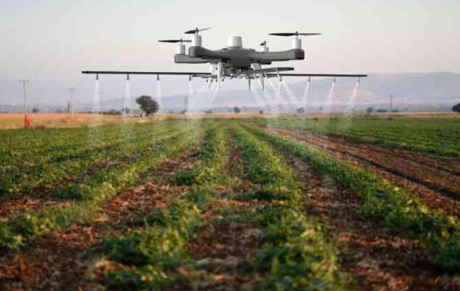 Zim must be proactive on AI survival instincts