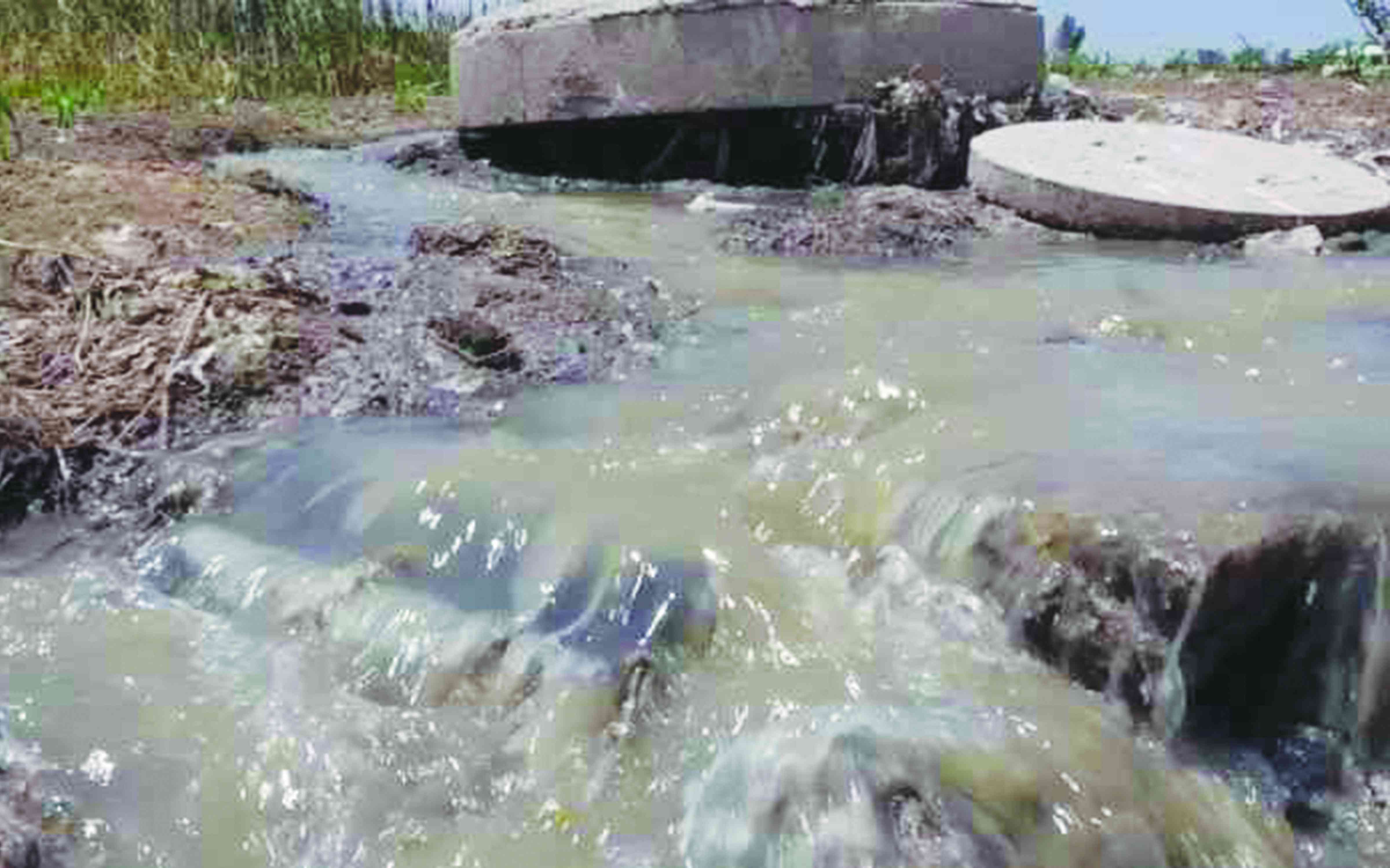 Rivers of human waste open new, scary frontiers in Harare: How Kuwadzana residents are forced to co-exist with their own excreta