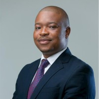 OK Zim burns US$1m in asset sell-offs, blunders