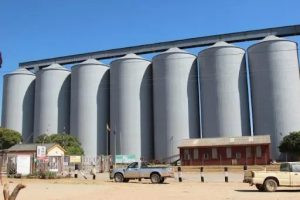 GMB begins paying farmers outstanding arrears for grain deliveries