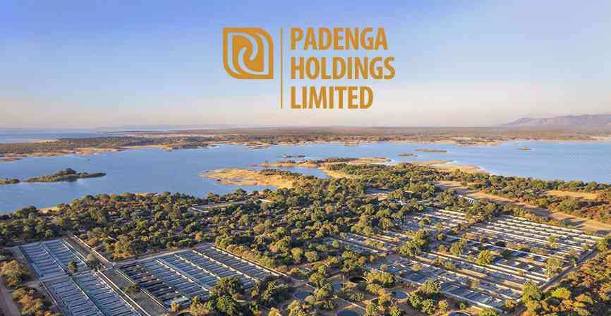 Zim gold production giant wants royalty shake-up