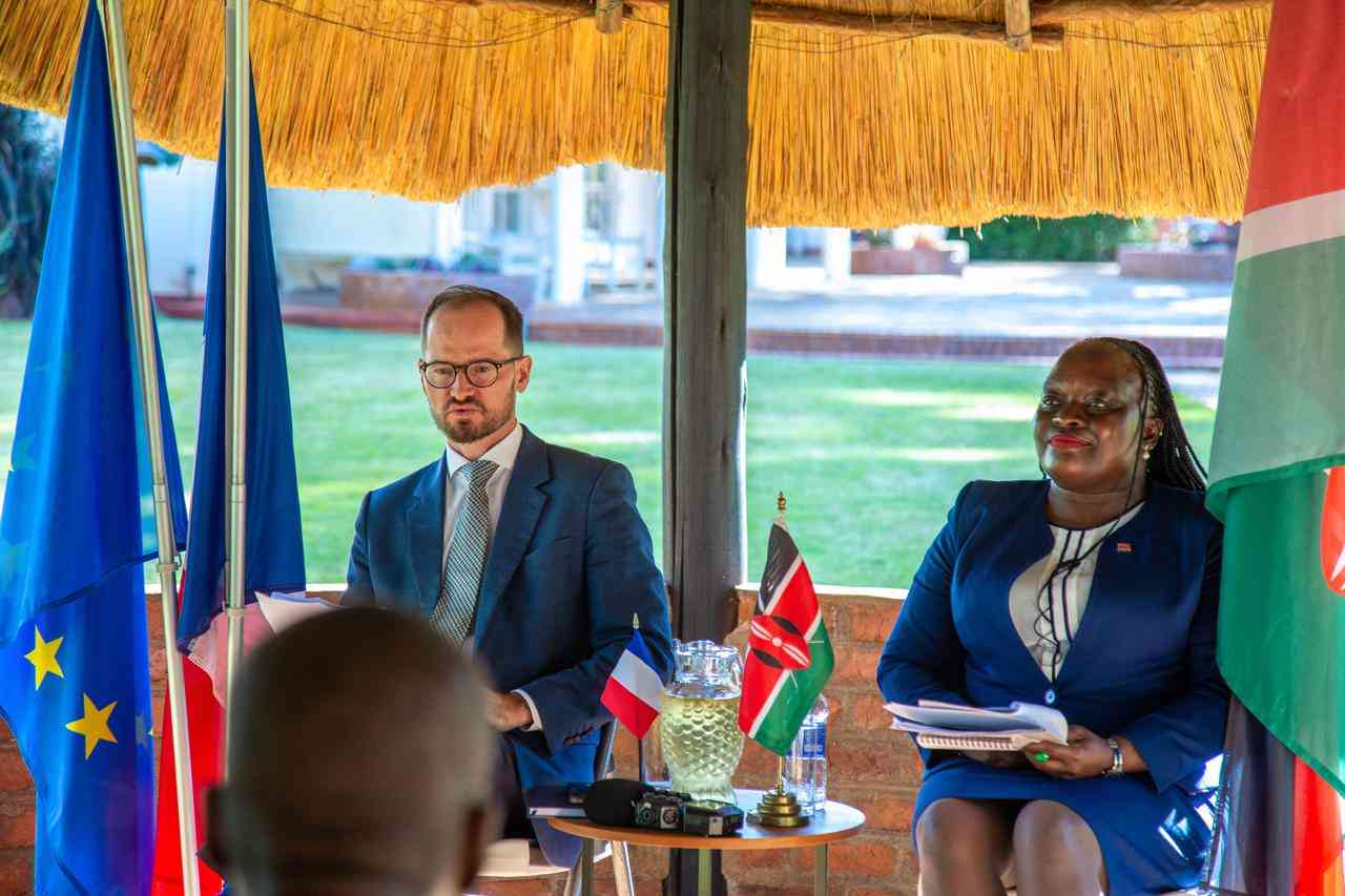 France targets bigger Africa investment as Nairobi summit looms