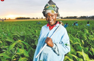 Next food shock coming: Investing in Africa’s young farmers is the answer