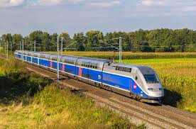 Linking cities, driving growth: The case for high-speed rail in Zim