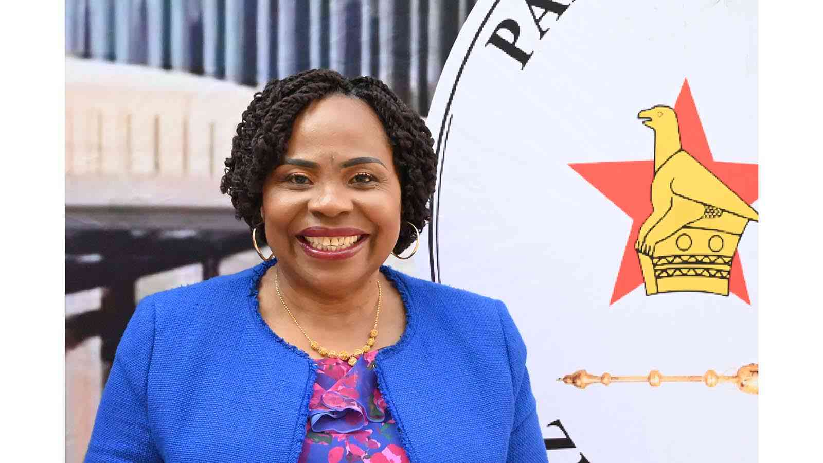 Grand plan to fortify pulse of Zim’s industrial growth